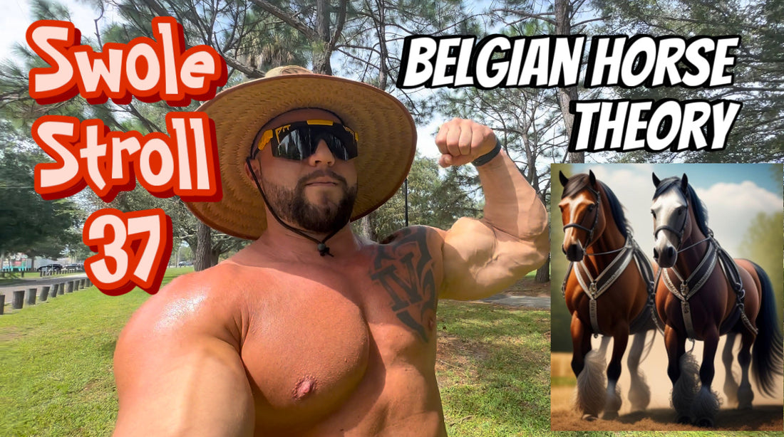 Belgian Horse Theory
